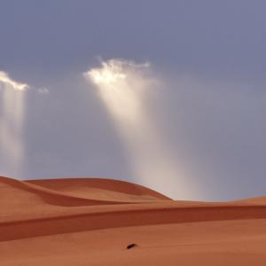 Erg Amatlich [Mauritanie] - 2022 