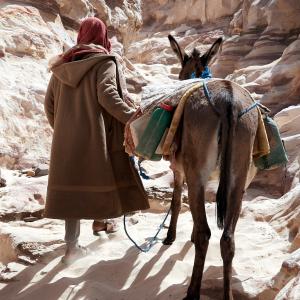 La Vallée blanche  [Jordanie] - 2023