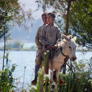 Village de Ramadi [Egypte] - 2022