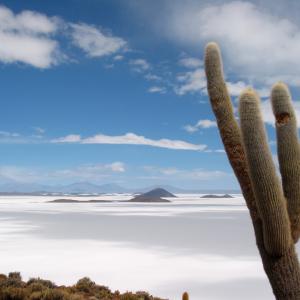 Salar d'Uyuni [Bolivie] - 2005