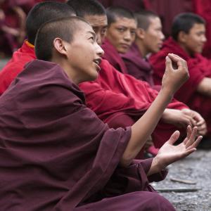 Joutes oratoires au monastère de Dongzsar [Pays de Kham, ancien Grand Tibet, Chine] - 2014