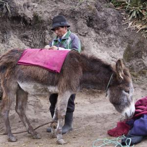 7h00 du matin : Baltazar se prépare pour "monter" à la limite des glaces du Chimborazo