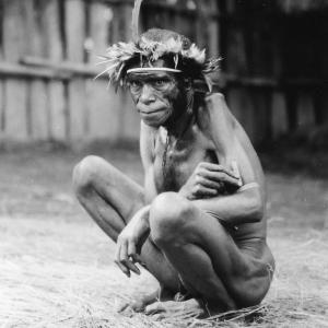 Un guerrier de l'ethnie Jale, Kosarek, Irian Jaya, les Hautes Terres [Indonésie] - 1989