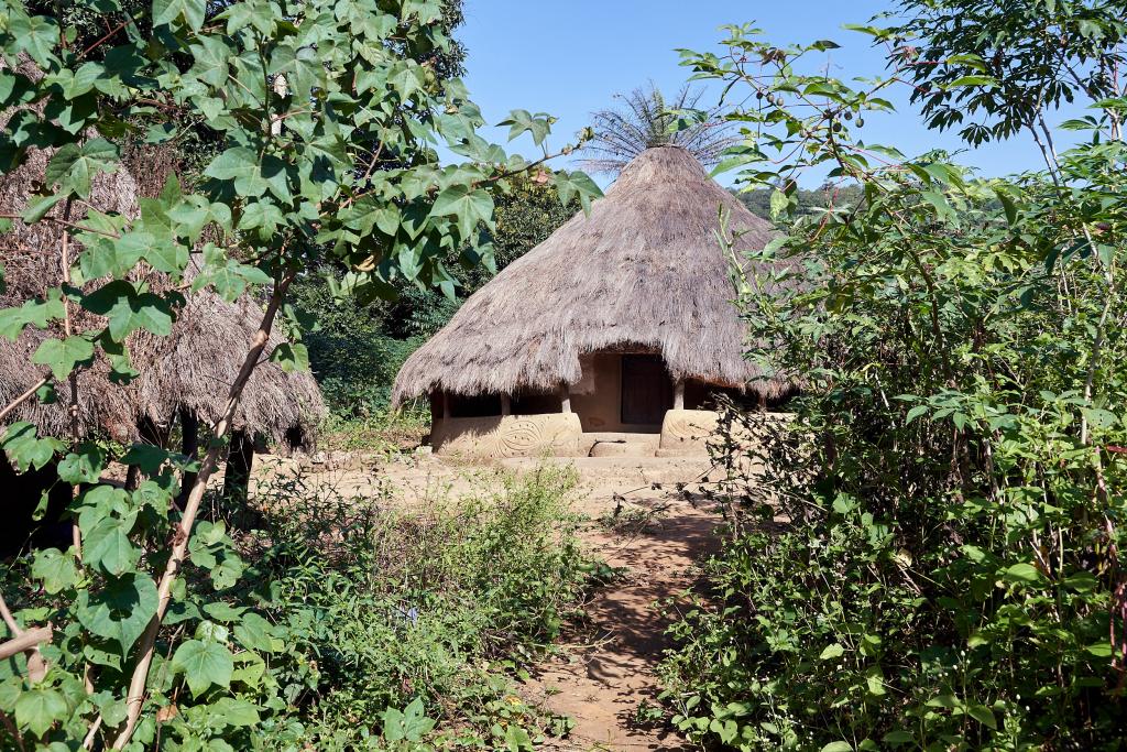 Dans la brousse, sur le chemin de Leyfita [Guinée] - 2024 