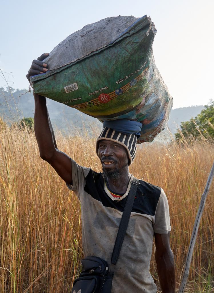 Dans la brousse, sur le chemin de Leyfita [Guinée] - 2024 