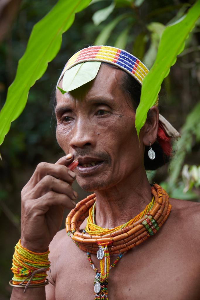 Préparation d'un remède médicinal, île de Siberut [Indonésie] - 2025