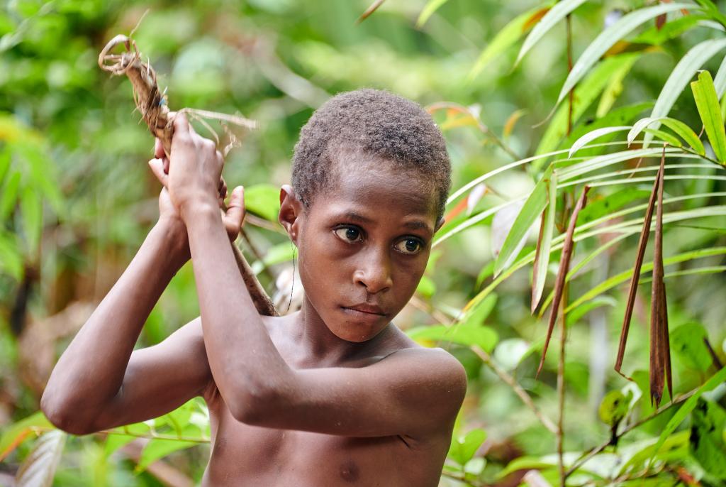 Préparation du sagou, pays Korowaï [Papouasie indonésienne] - 2025 