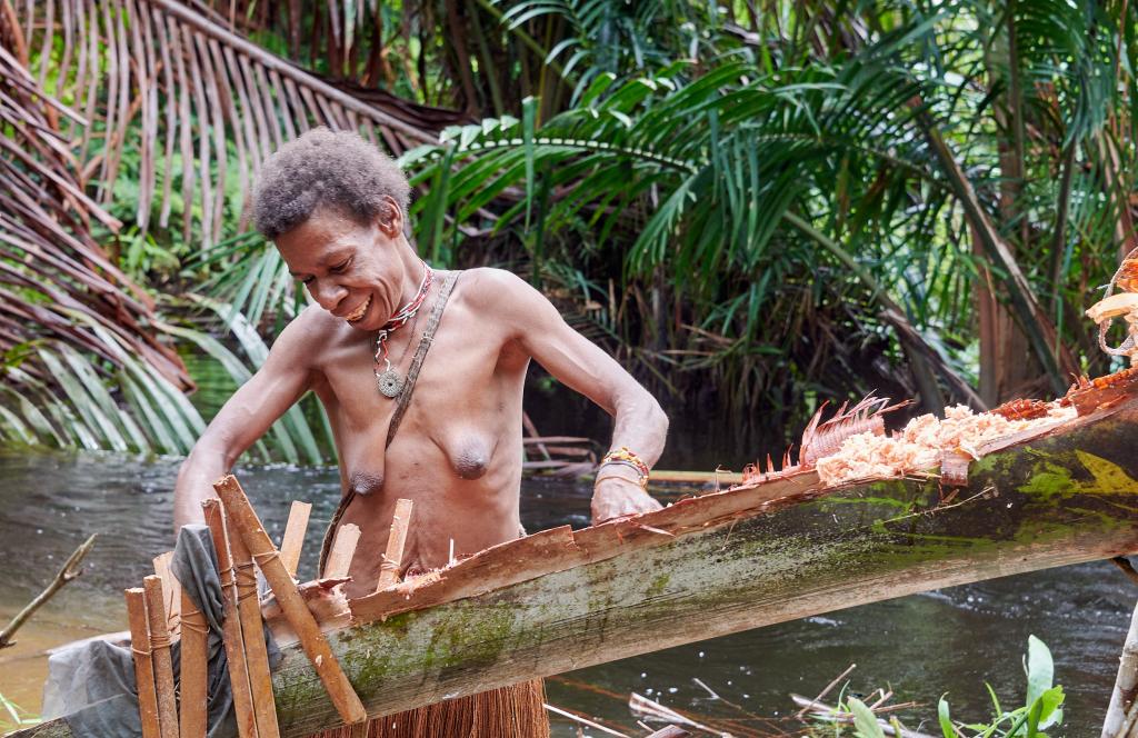 Préparation du sagou, pays Korowaï [Papouasie indonésienne] - 2025 