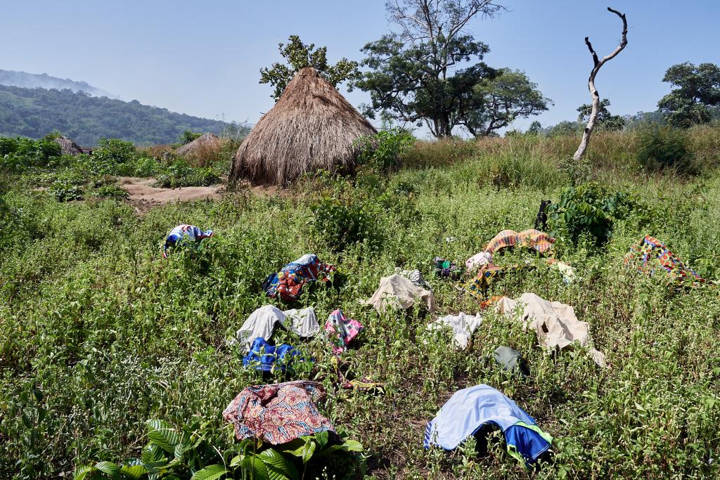 Linge qui sèche, dans la région de Tombo [Guinée] - 2024 