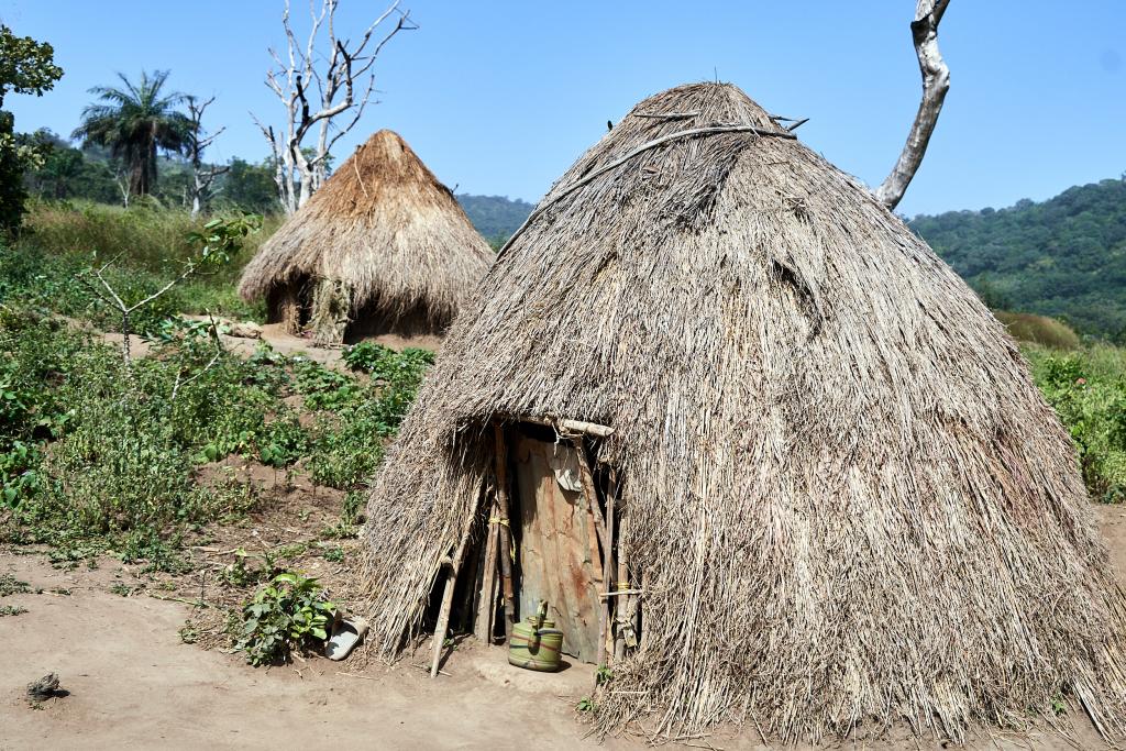 Dans la région de Tombo [Guinée] - 2024 