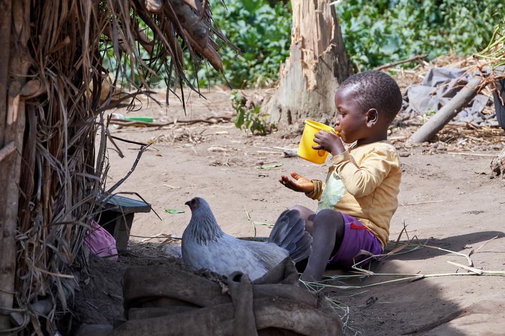 Dans la région de Tombo [Guinée] - 2024 