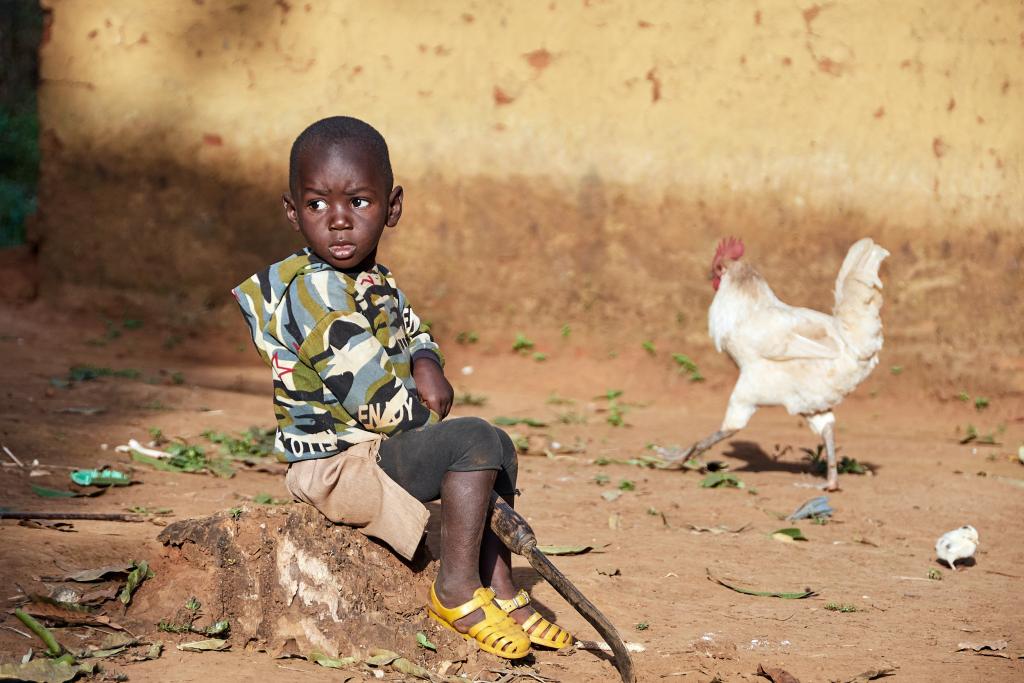 Village de Tombo [Guinée] - 2024 