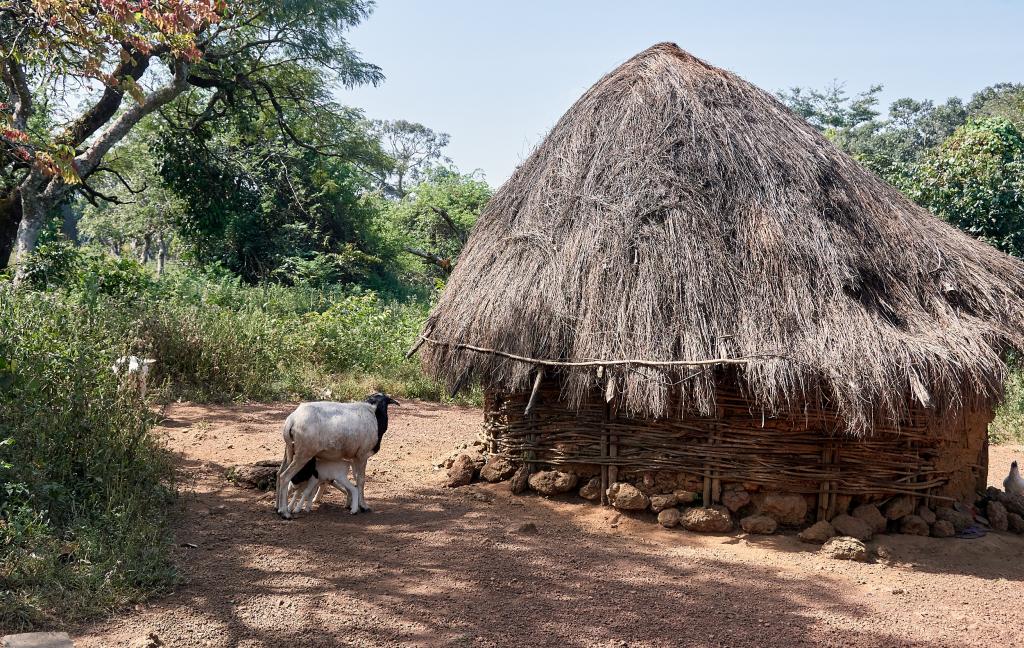 Sur les chemins, entre Tombo et Dougoura [Guinée] - 2024 