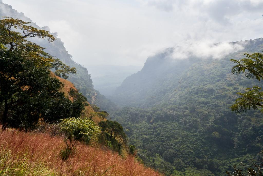 Sur les chemins, de Dougoura à Daleya [Guinée] - 2024 