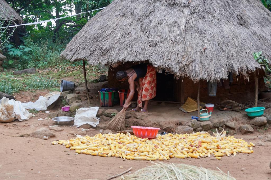 Village de Daleya [Guinée] - 2024 