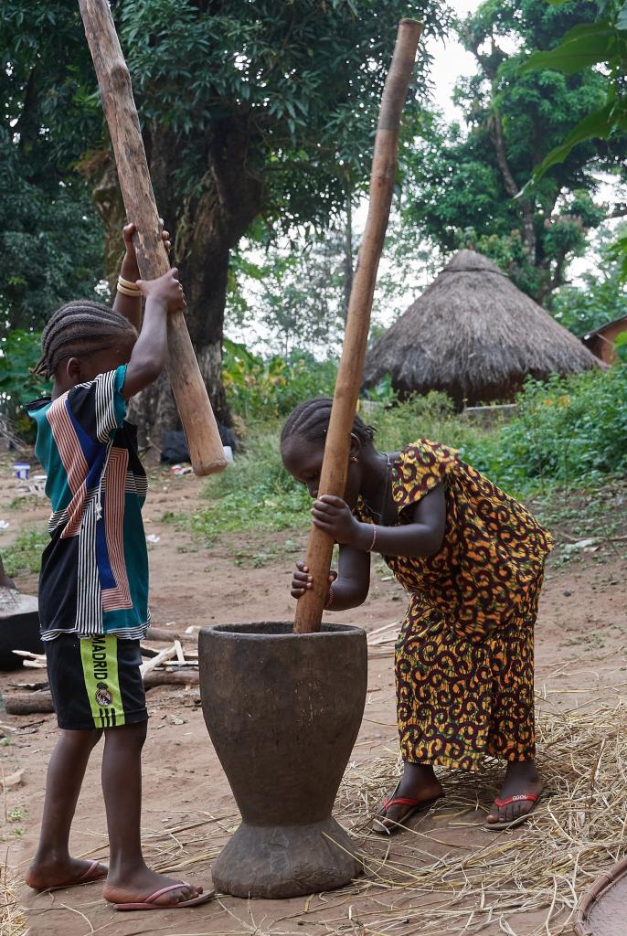 Village de Daleya [Guinée] - 2024 