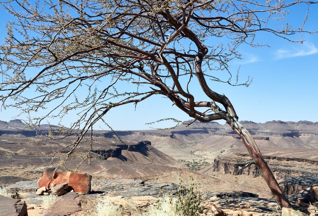 Fort Sagane au loin [Mauritanie] - 2022