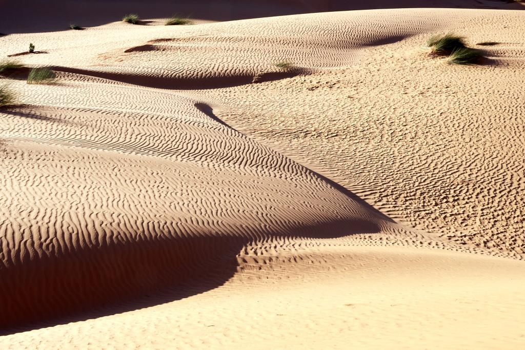 De chinguetti à Lagueila [Mauritanie] - 2022