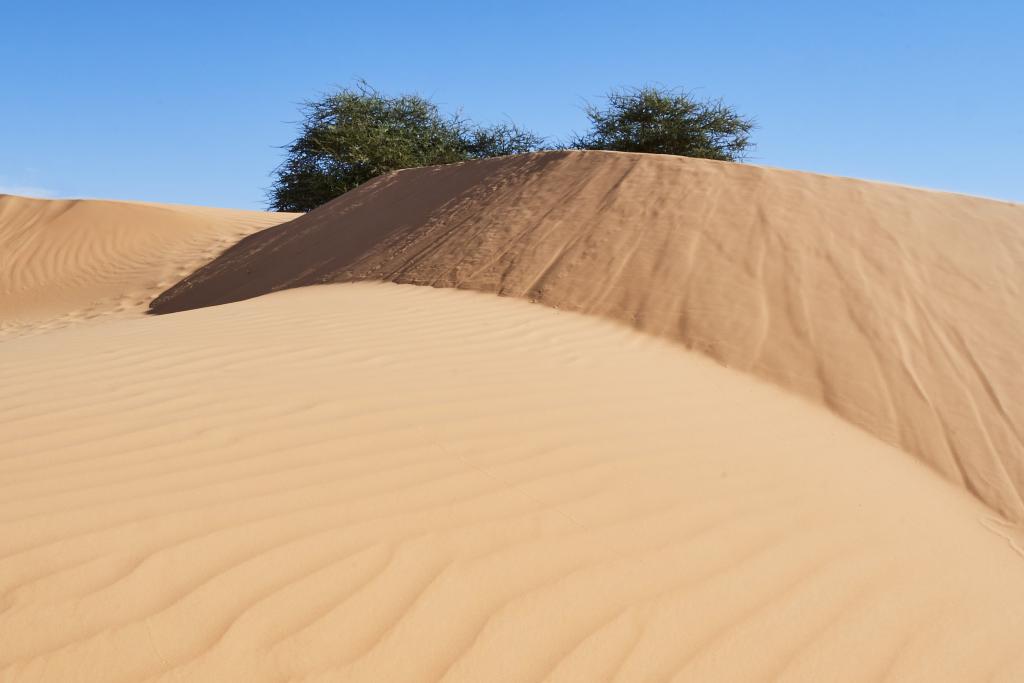 De chinguetti à Lagueila [Mauritanie] - 2022