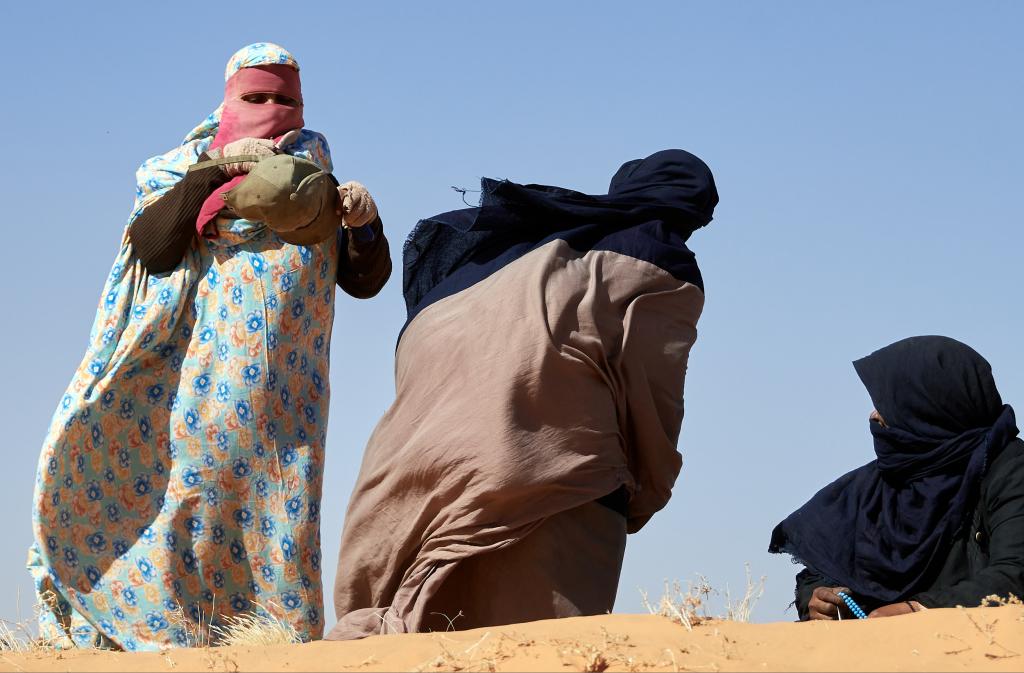 De Lagueila à Varess [Mauritanie] - 2022