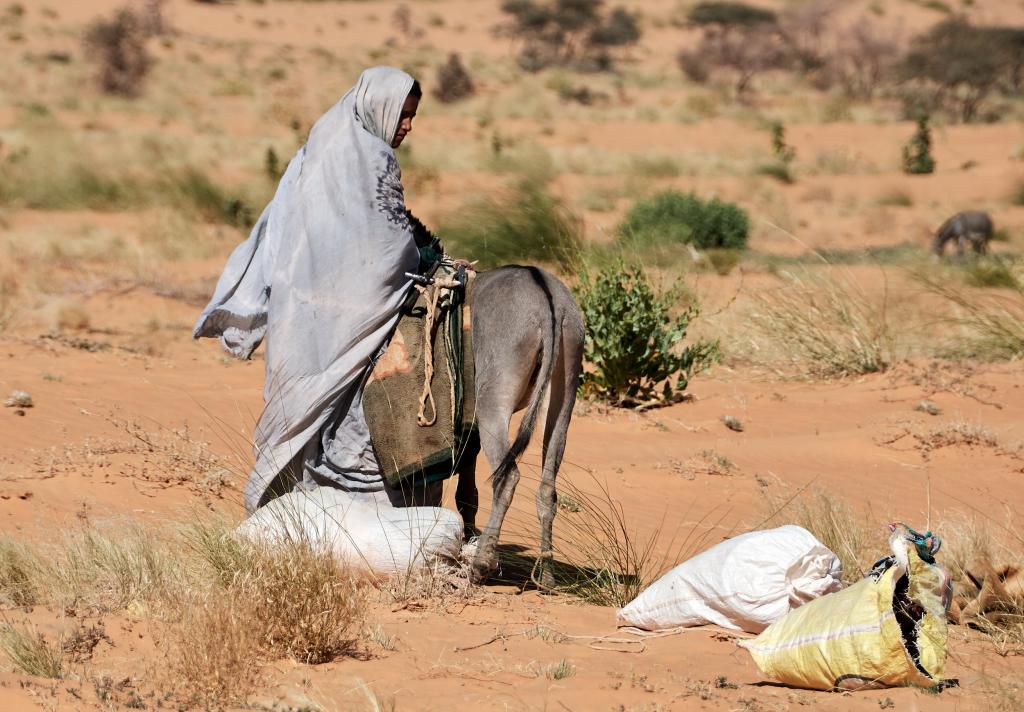 De Lagueila à Varess [Mauritanie] - 2022