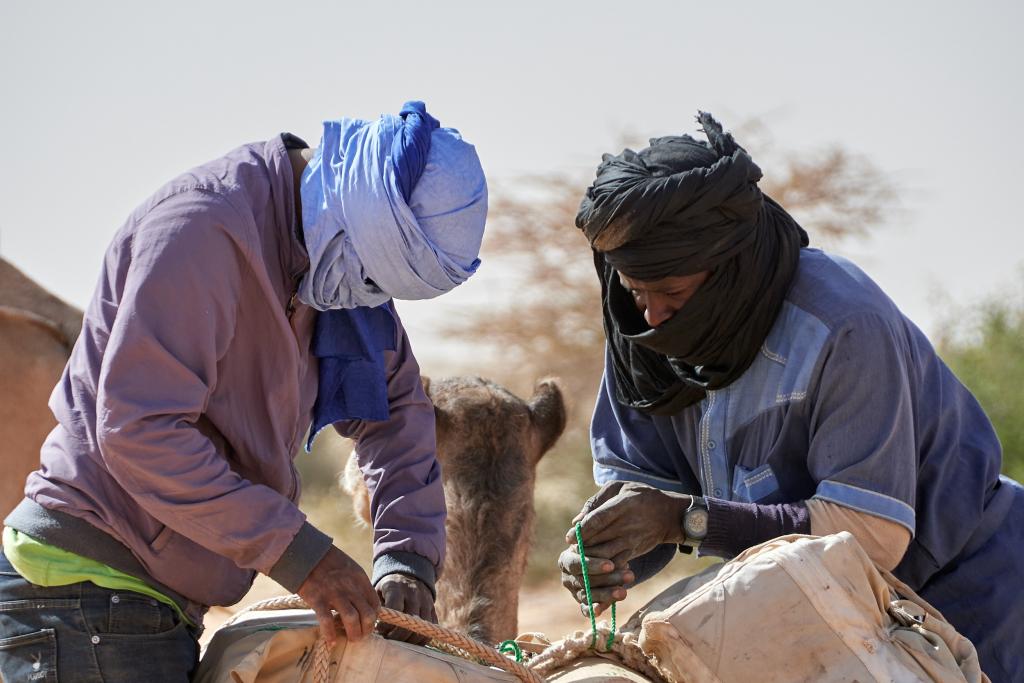 Varess -Tal Hayat [Mauritanie] - 2022