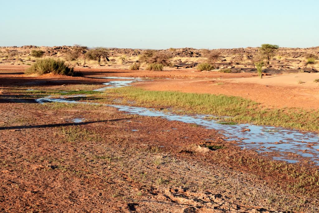 Chatou El Kebir [Mauritanie] - 2022