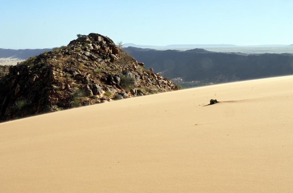 Chatou El Kebir [Mauritanie] - 2022