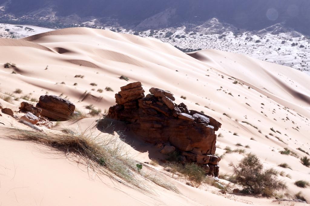 Chatou El Kebir [Mauritanie] - 2022