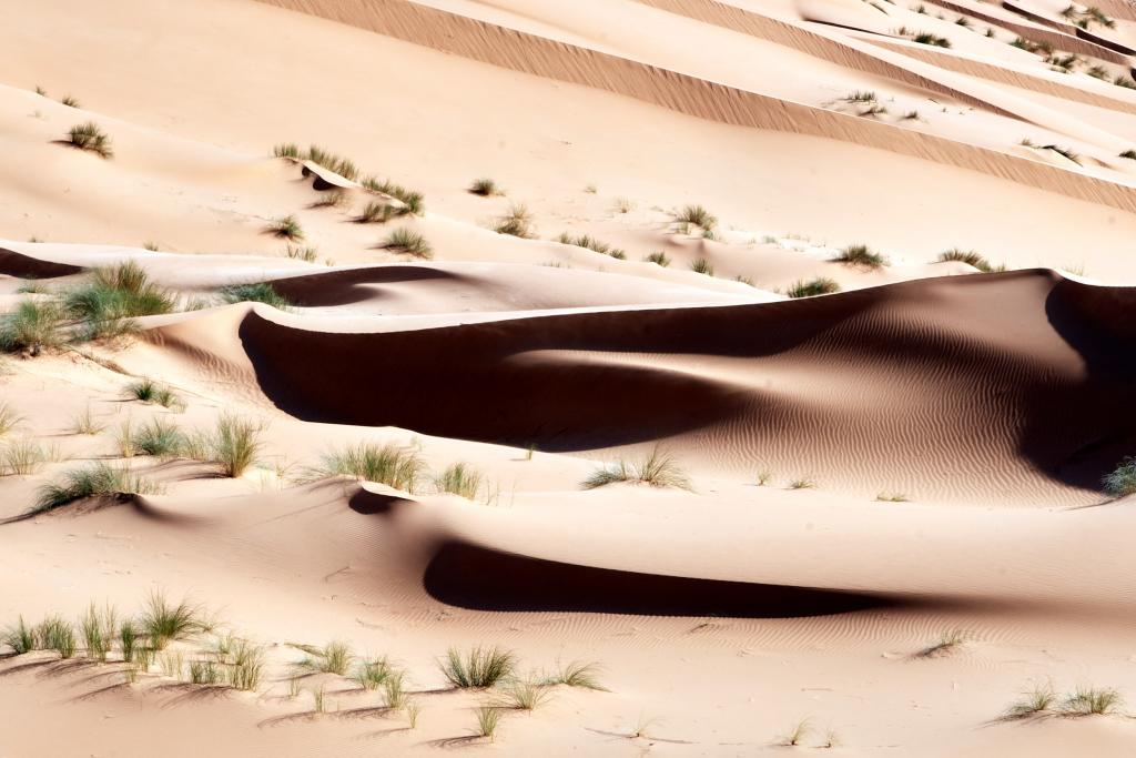 Chatou El Kebir [Mauritanie] - 2022