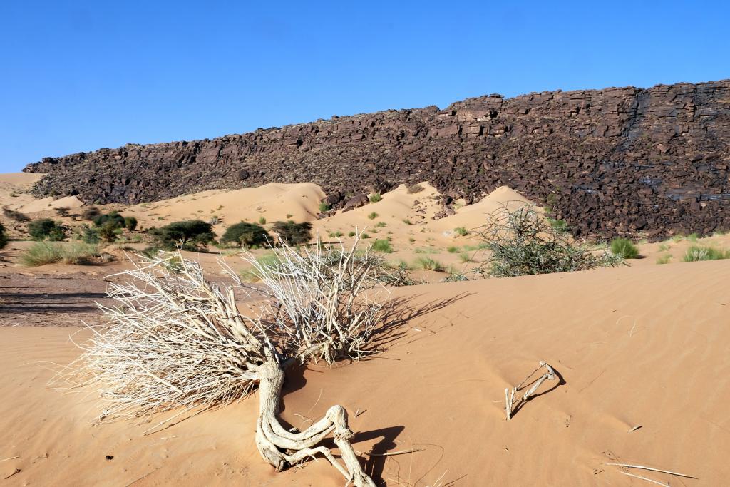 Chatou El Kebir [Mauritanie] - 2022