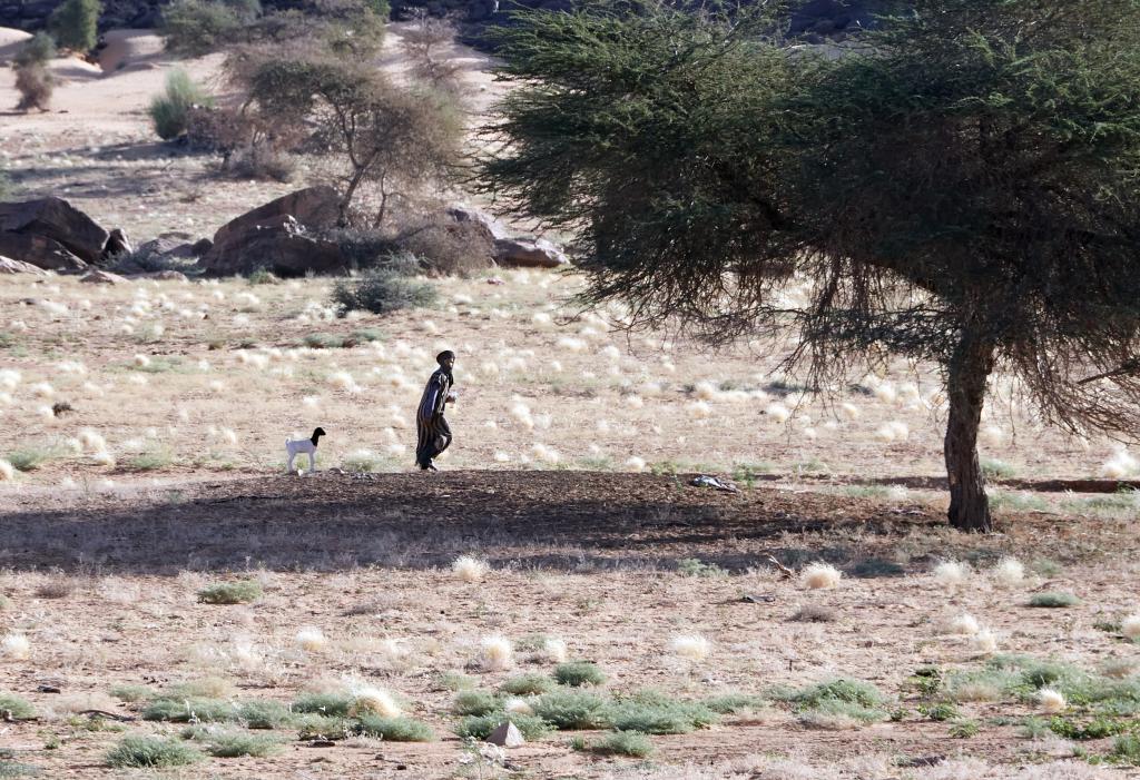 Vers la Vallée blanche [Mauritanie] - 2022 