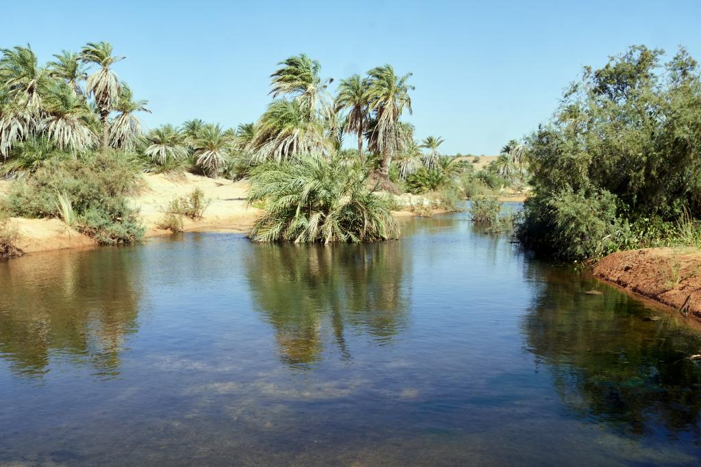 Vers la Vallée blanche [Mauritanie] - 2022 