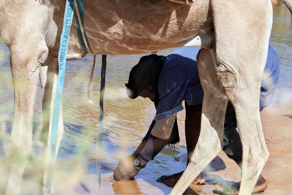 Vers la Vallée blanche [Mauritanie] - 2022 