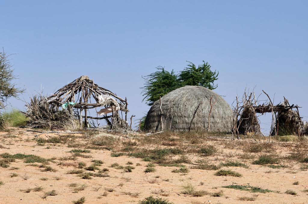 Vers la Vallée blanche [Mauritanie] - 2022 