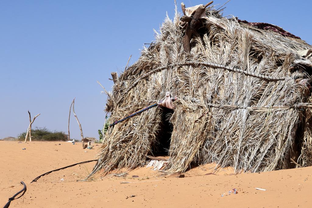 Vers la Vallée blanche [Mauritanie] - 2022 