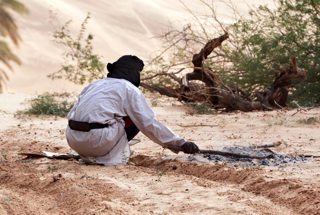 Oasis d'Azouiega [Mauritanie]- 2022