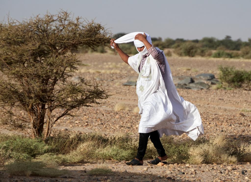 Au-delà d'Azouiega [Mauritanie] - 2022 