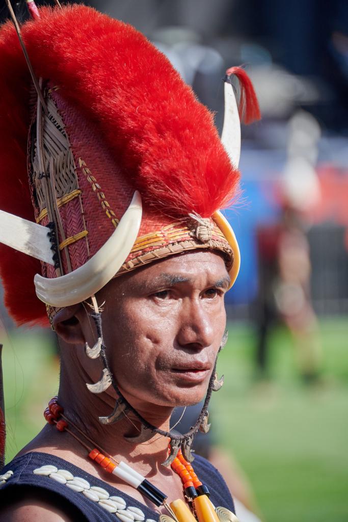 Naga Konyak, Hornbill Festival, Nagaland [Inde] - 2023 