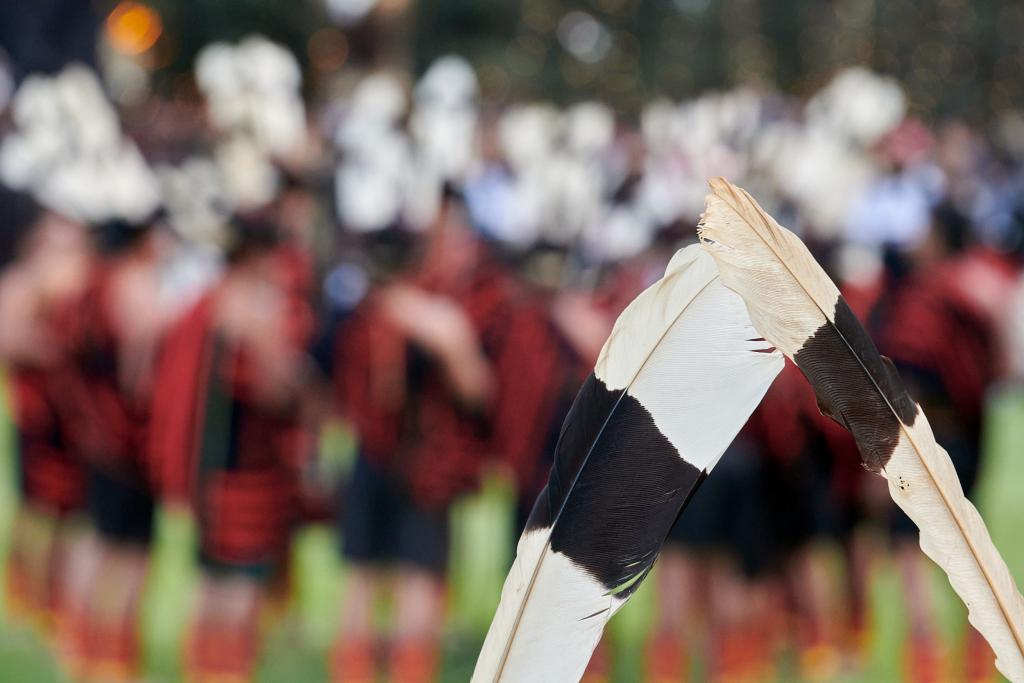 Plumes de calao, Nagaland [Inde] - 2023 