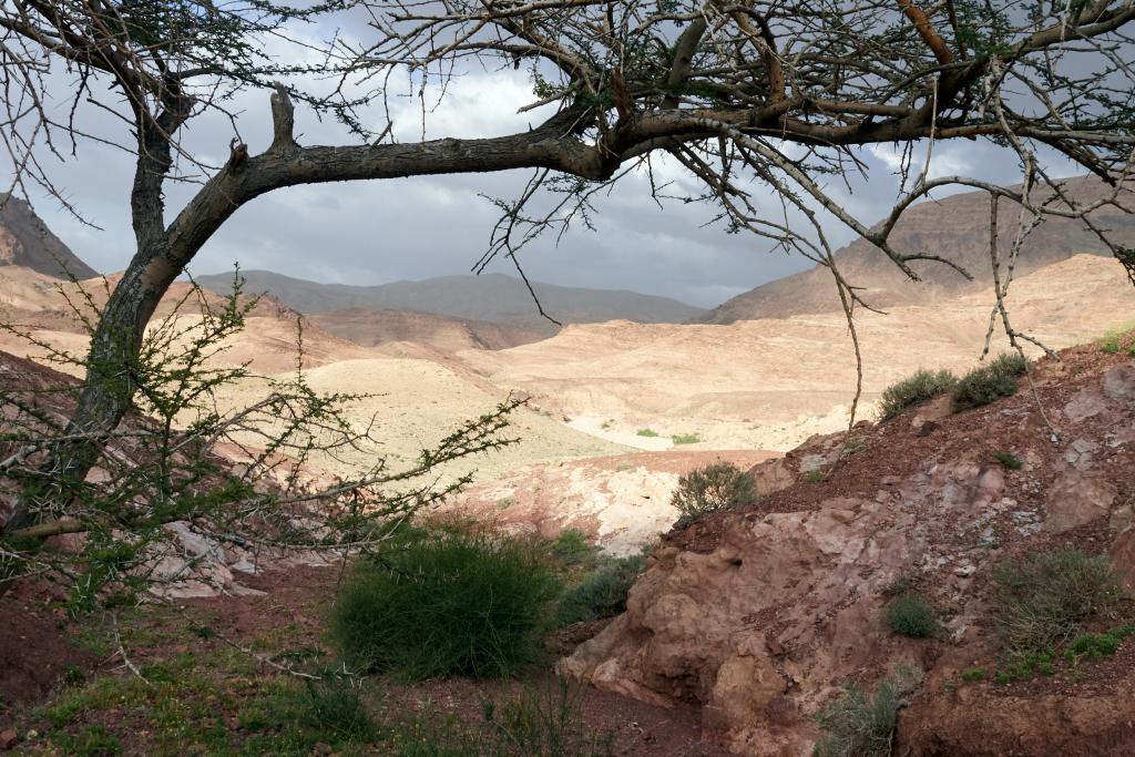 La vallée Arc-en-ciel [Jordanie] - 2023