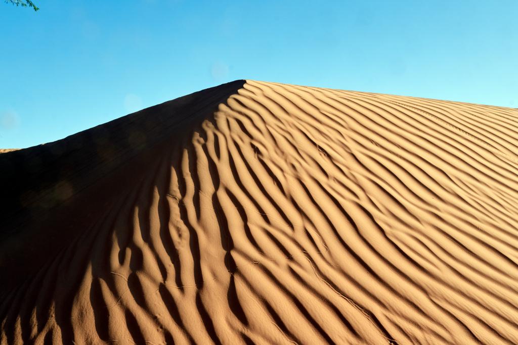 Vallée blanche [Mauritanie] - 2022 