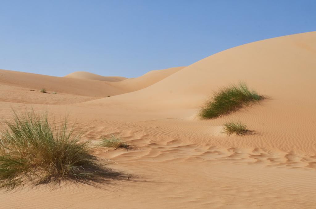 Vallée blanche [Mauritanie] - 2022 