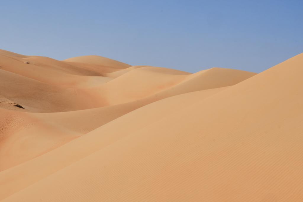 Vallée blanche [Mauritanie] - 2022 