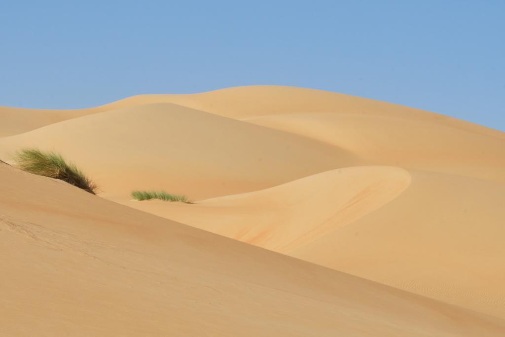 Vallée blanche [Mauritanie] - 2022 