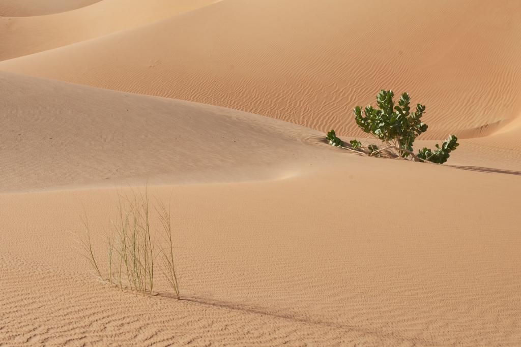 Vallée blanche [Mauritanie] - 2022 