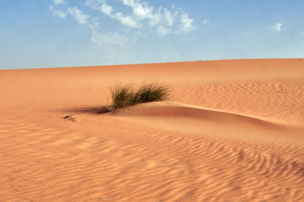 Erg Amatlich [Mauritanie] - 2022 