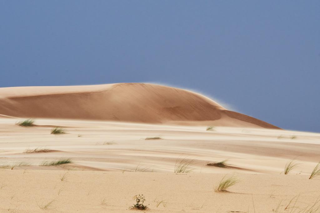 Erg Amatlich [Mauritanie] - 2022 