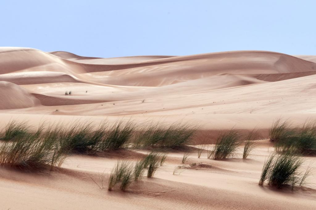 Erg Amatlich [Mauritanie] - 2022 