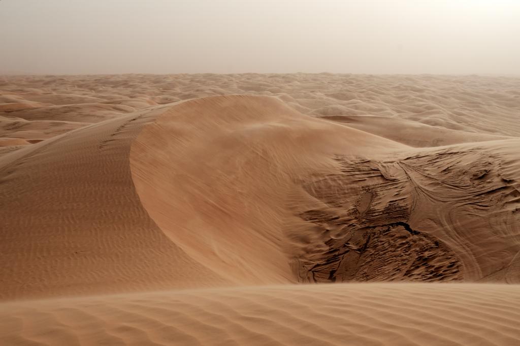 Oasis d'Azouiega [Mauritanie] - 2022 